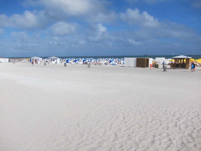 Royal-Palm-South-Beach-Starwood - 60